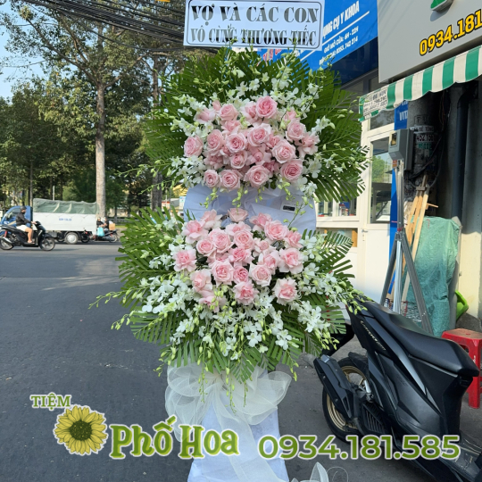 Kệ tang tông kem hồng