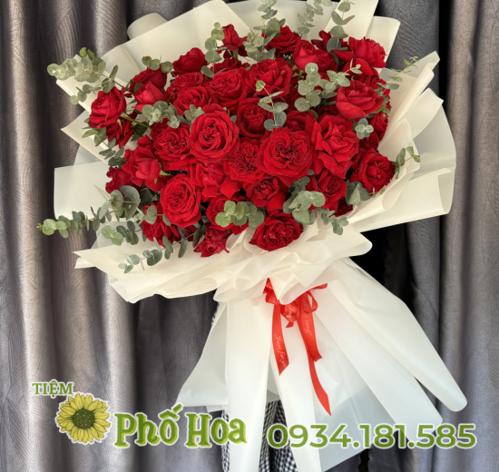 BÓ HỒNG OHARA NGOẠI